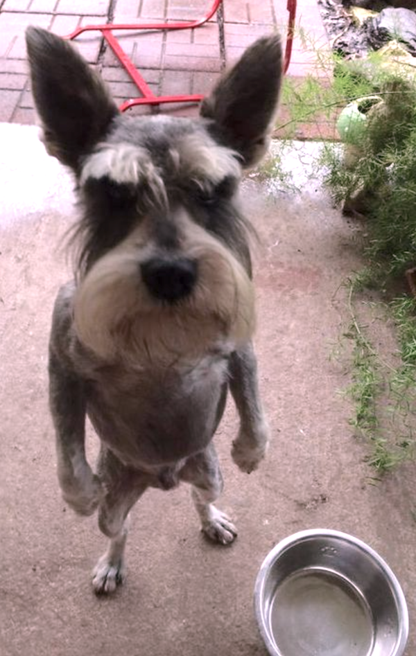 What Is Going On Here? (24 pics)