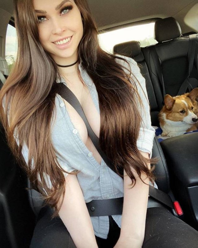 Girls In Cars (49 pics)