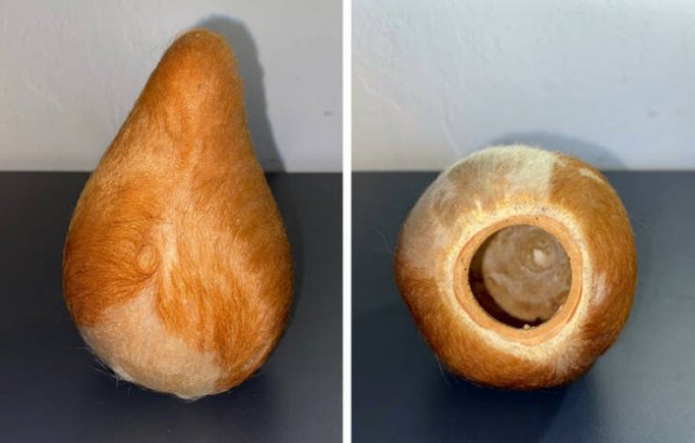 What Are These Things? (29 pics)