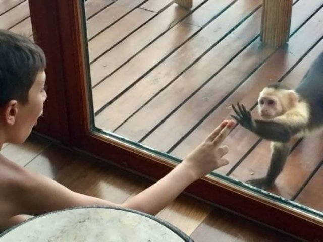 Funny Animals (52 pics)