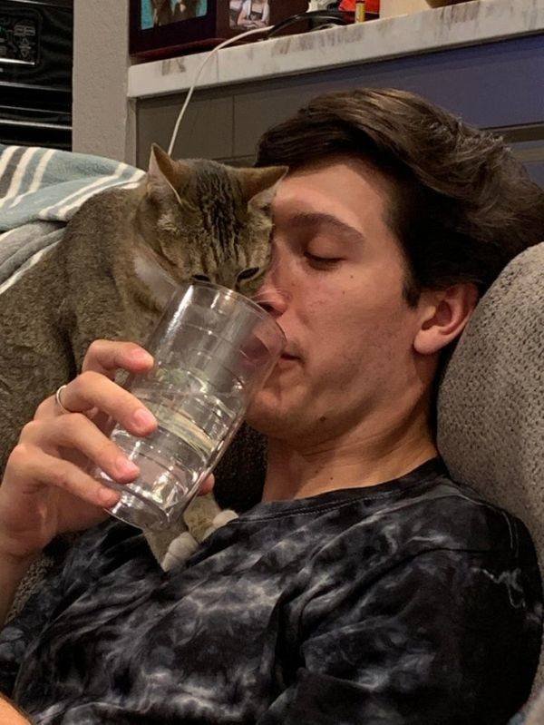 Funny Animals (52 pics)