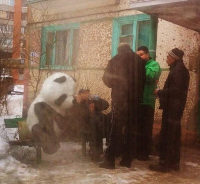 Weird Photos From Russia (40 pics)