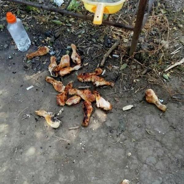 Awful Day (25 pics)