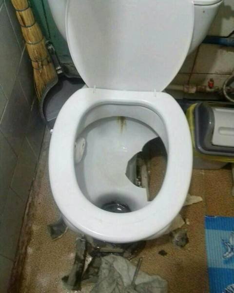 Awful Day (25 pics)