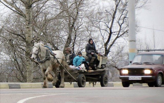 Strange Photos From Russia (31 pics)