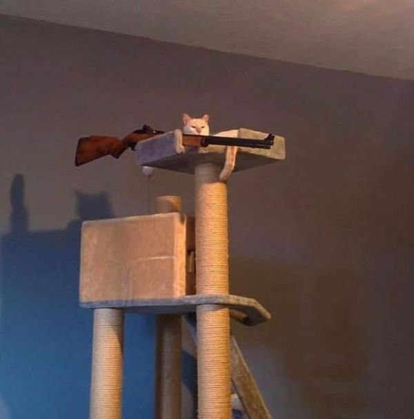 What Is Going On Here? (28 pics)