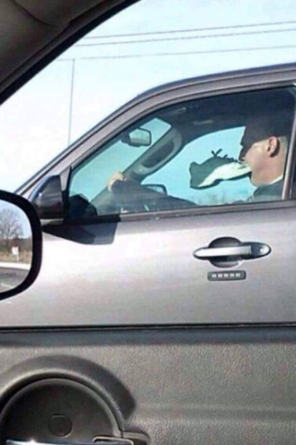 What Is Going On Here? (28 pics)