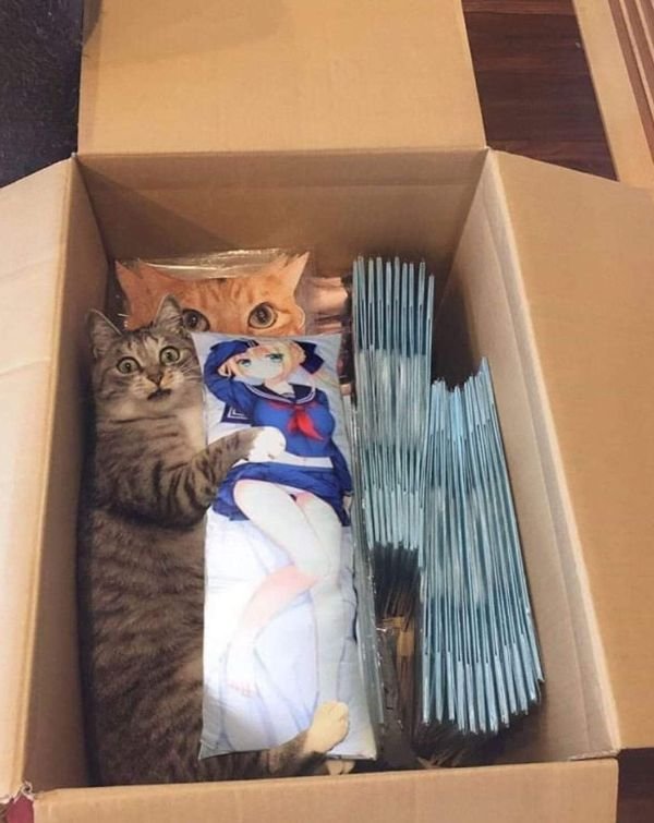 What Is Going On Here? (28 pics)