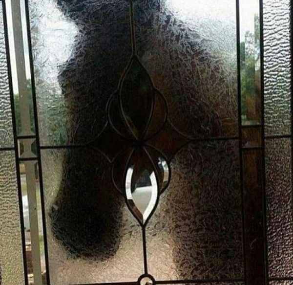 What Is Going On Here? (28 pics)