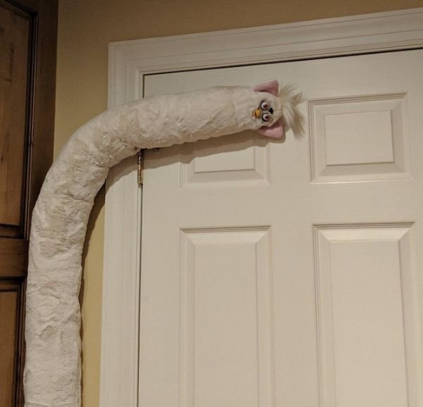 What Is Going On Here? (28 pics)