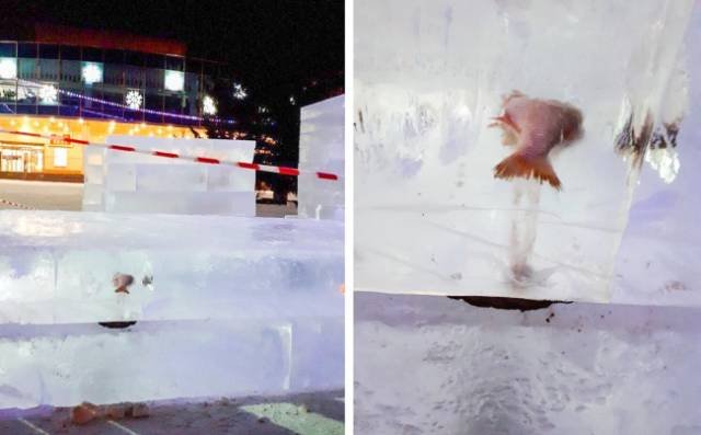 Odd Finds And Situations (29 pics)