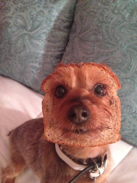 Odd Finds And Situations (29 pics)