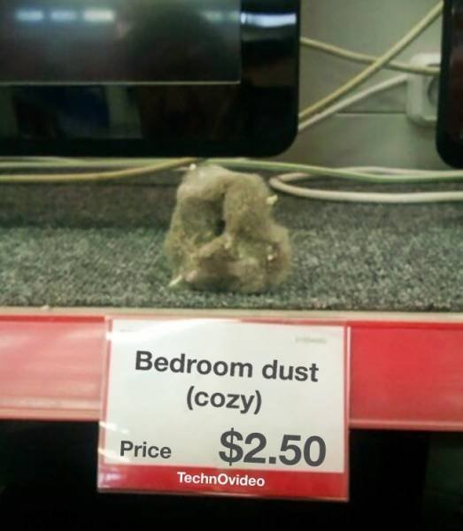 Odd Finds And Situations (29 pics)