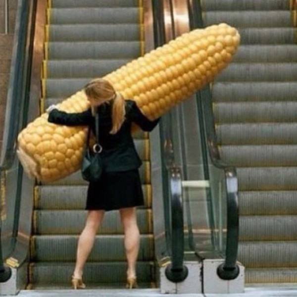 Odd Finds And Situations (29 pics)