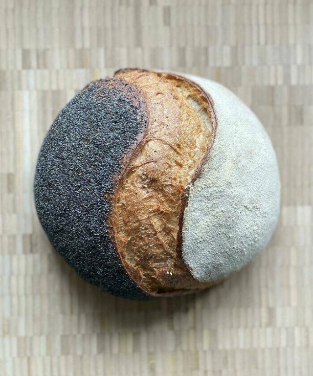 Awesome Dishes (49 pics)