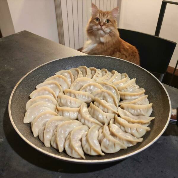 Awesome Dishes (49 pics)