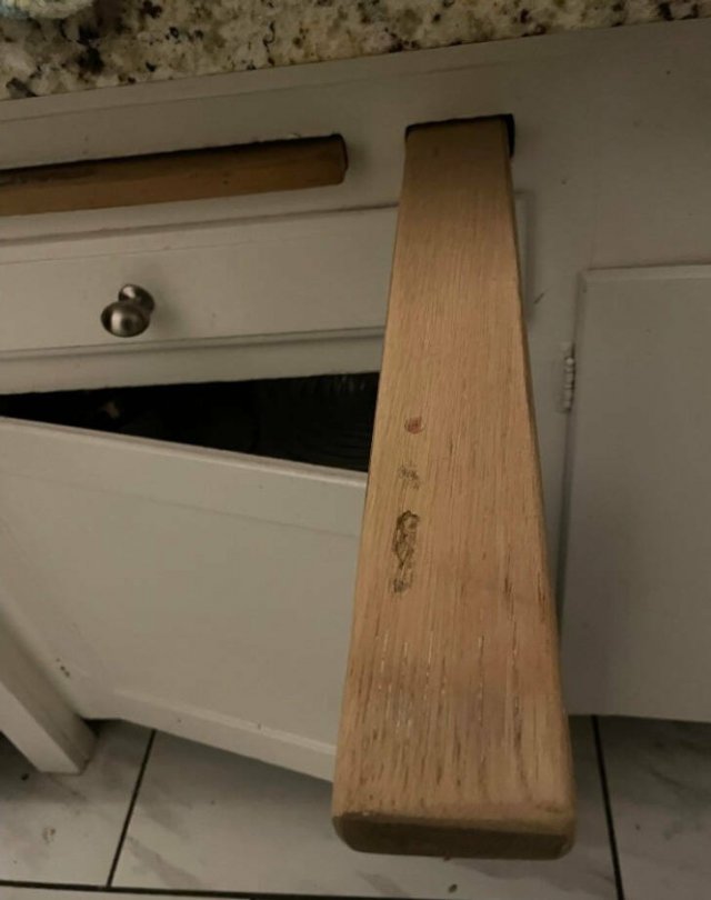 What Are These Things? (15 pics)