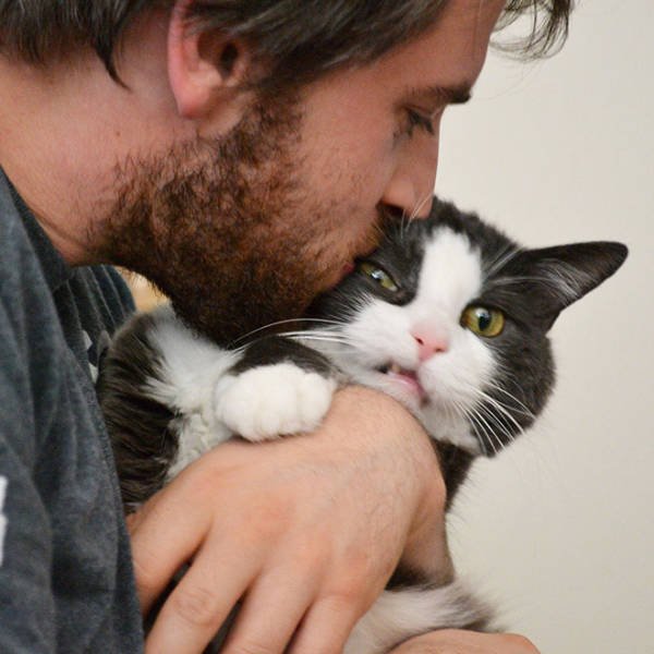 Cute Cats (22 pics)