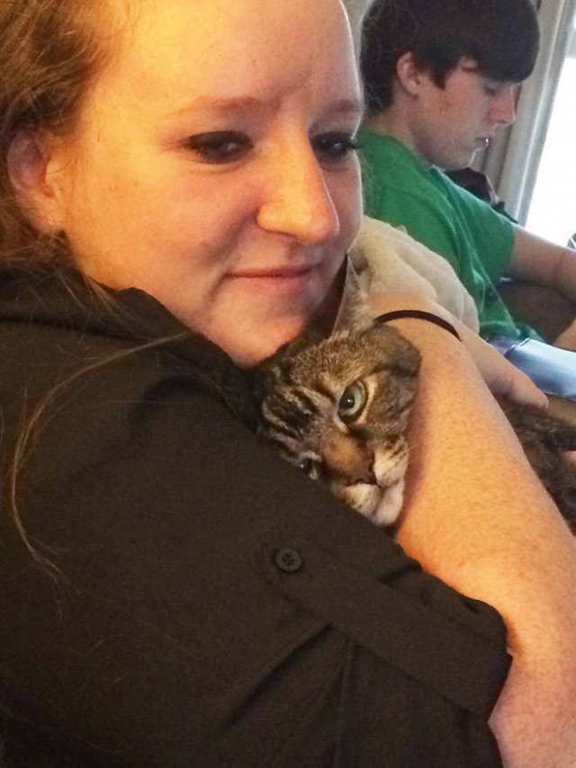 Cute Cats (22 pics)