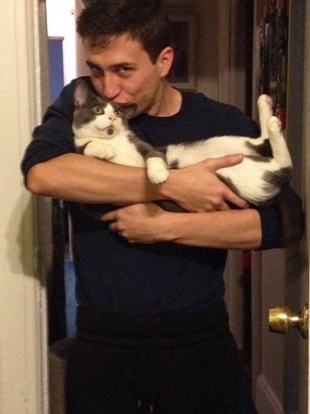 Cute Cats (22 pics)