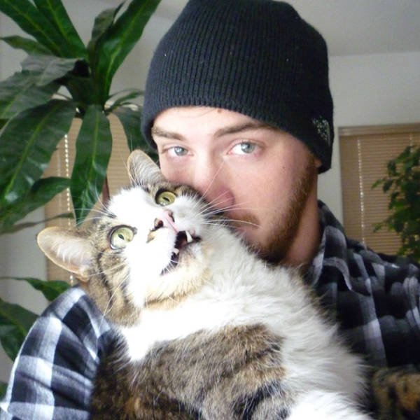 Cute Cats (22 pics)