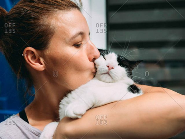 Cute Cats (22 pics)