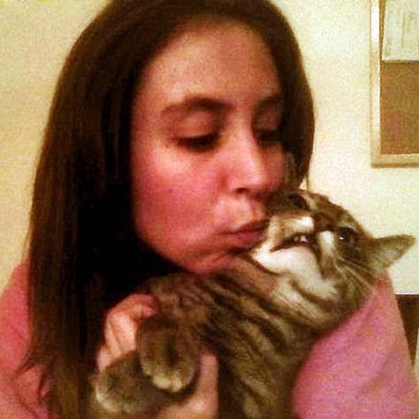 Cute Cats (22 pics)