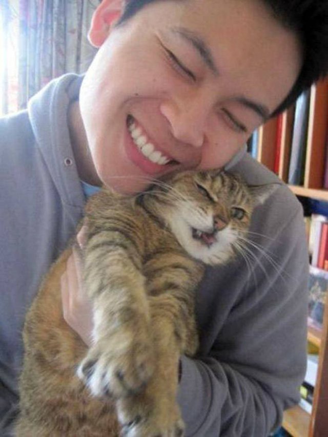 Cute Cats (22 pics)