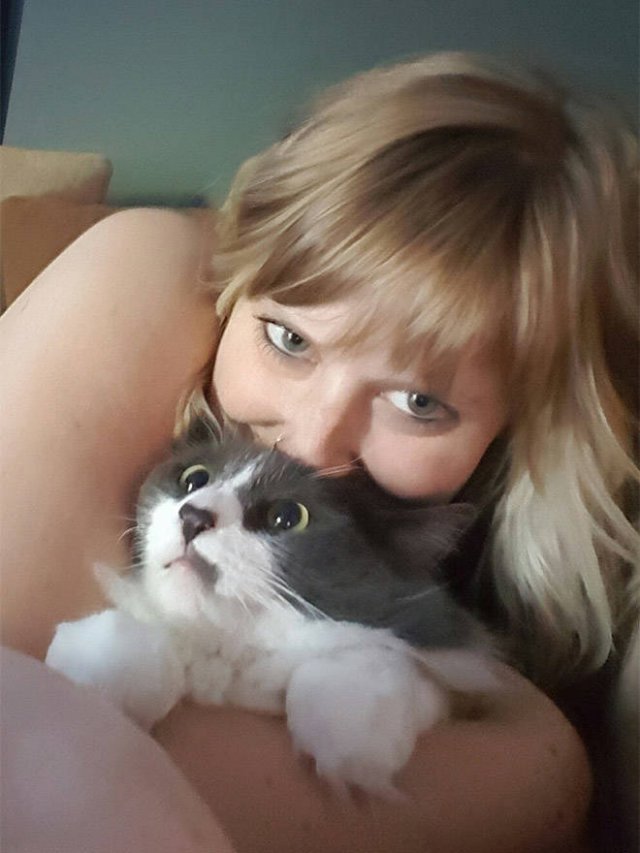Cute Cats (22 pics)