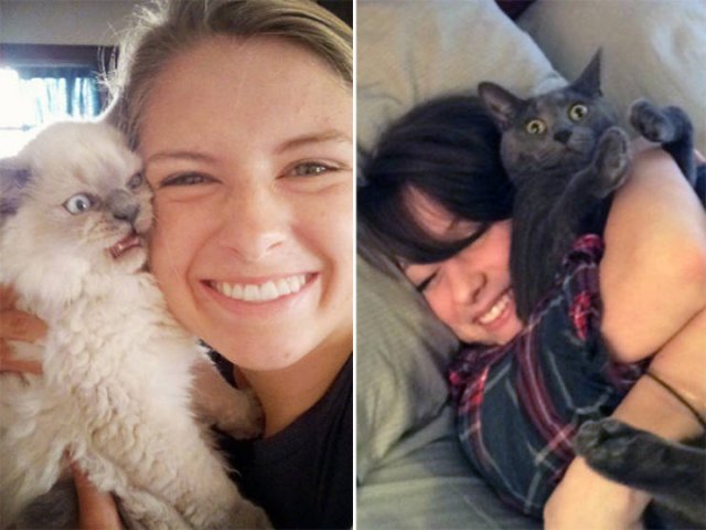 Cute Cats (22 pics)