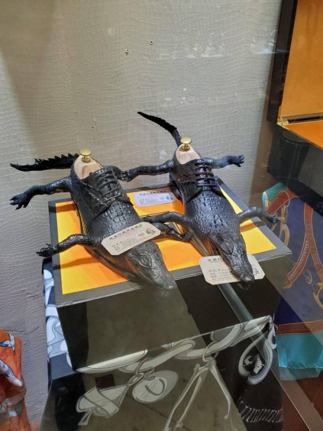 What Is Going On Here? (52 pics)