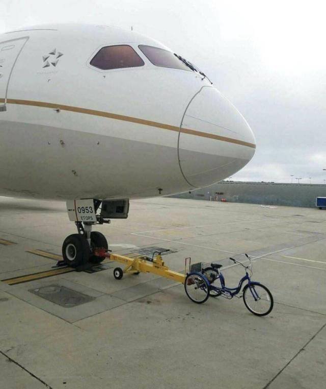 What Is Going On Here? (52 pics)
