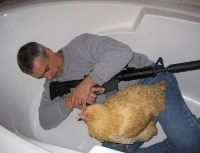 What Is Going On Here? (52 pics)