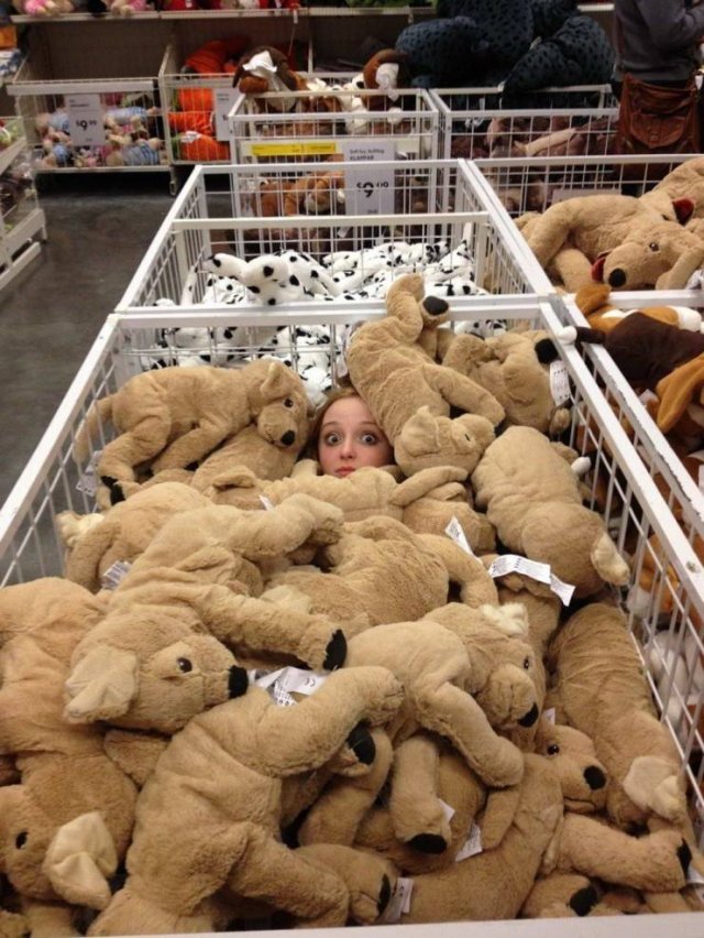What Is Going On Here? (52 pics)