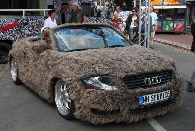 What Is Going On Here? (52 pics)