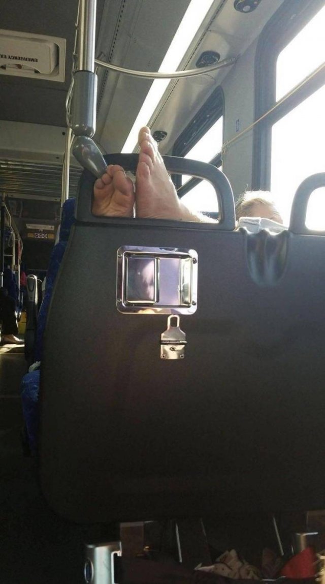 What Is Going On Here? (52 pics)