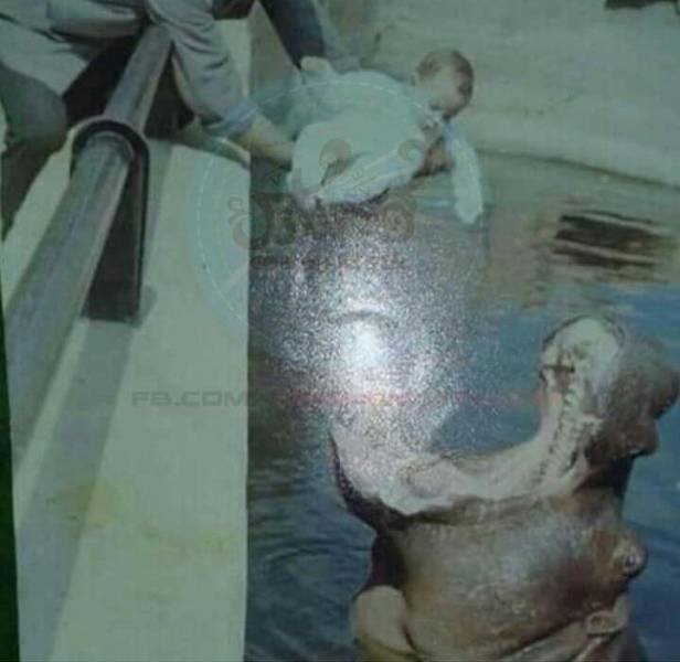 What Is Going On Here? (52 pics)