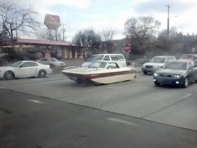 What Is Going On Here? (52 pics)
