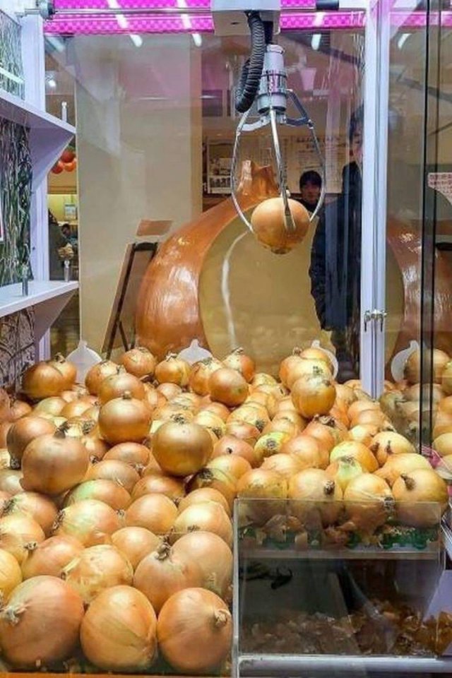 What Is Going On Here? (52 pics)