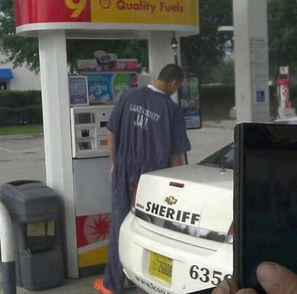 What Is Going On Here? (52 pics)