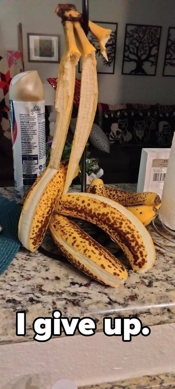 Bad Days Happen (59 pics)