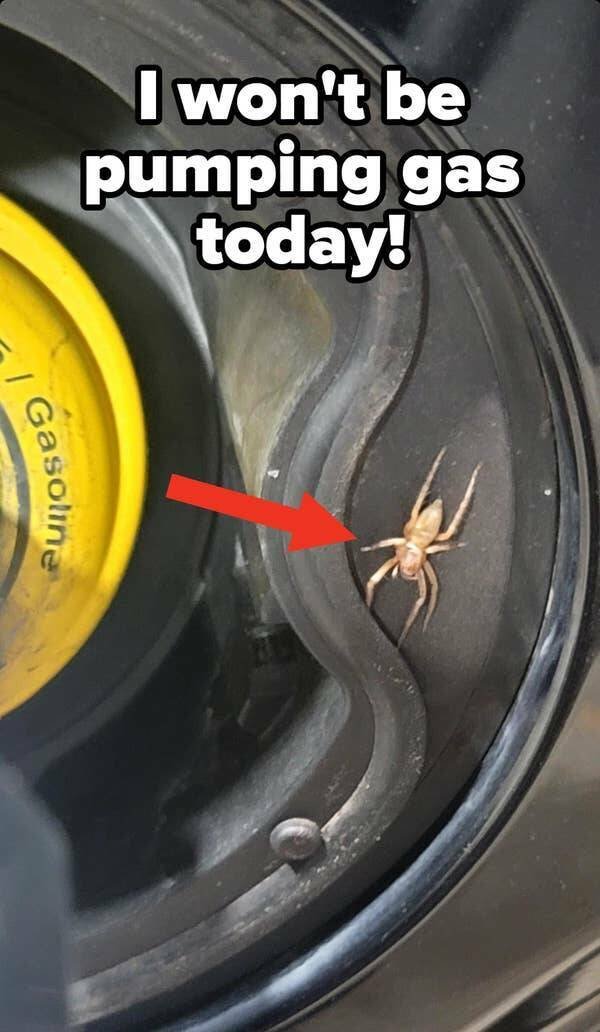 Bad Days Happen (59 pics)