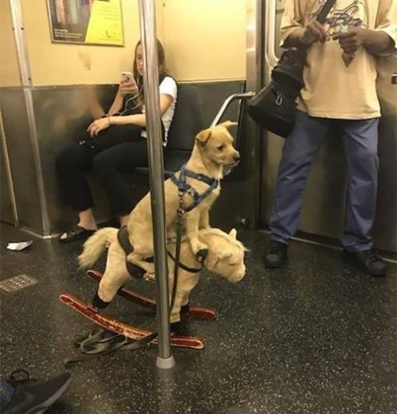 Strange And Funny People In The Subway (40 pics)