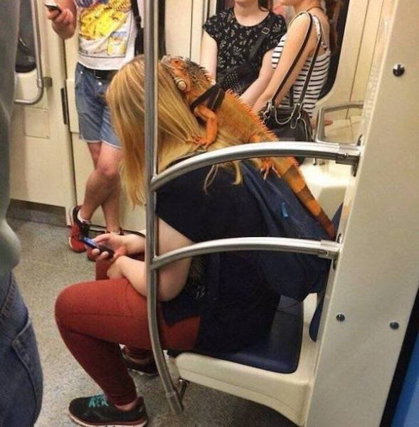 Strange And Funny People In The Subway (40 pics)