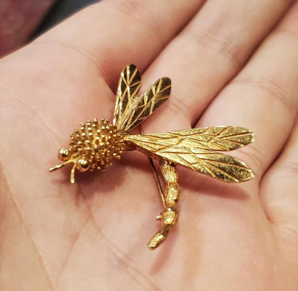 Unusual Finds In Thrift Shops (20 pics) Unusual Finds In Thrift Shops (20 pics)
