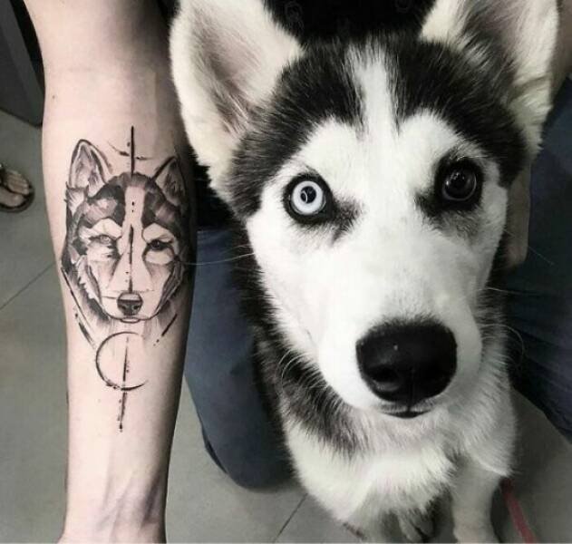 Interesting Tattoo Ideas (54 pics)