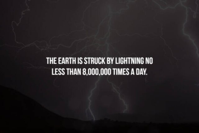 Scary Facts (32 pics)