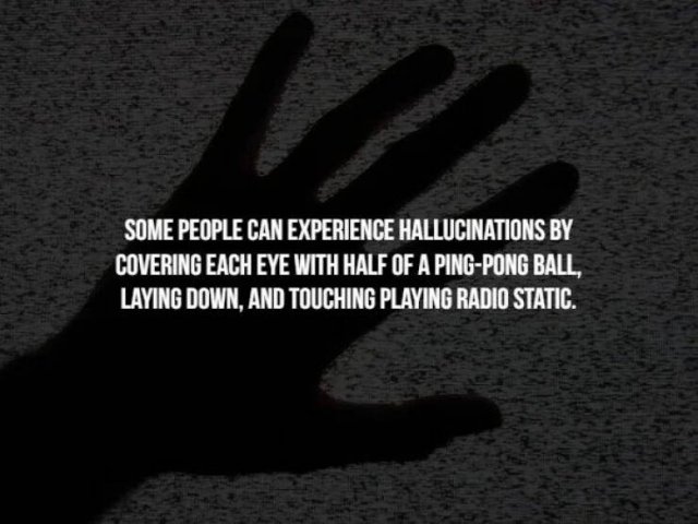 Scary Facts (32 pics)