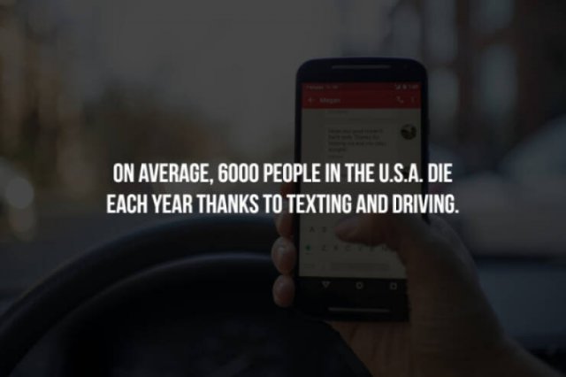 Scary Facts (32 pics)