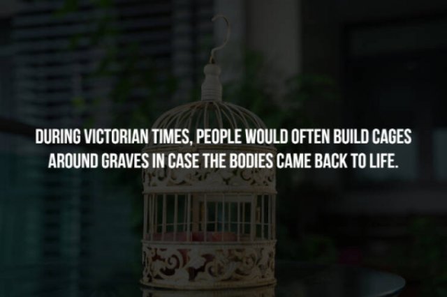 Scary Facts (32 pics)